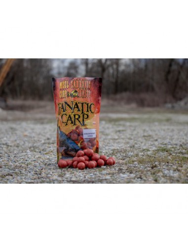 Fanatic Carp Strawberry 800gr 20mm